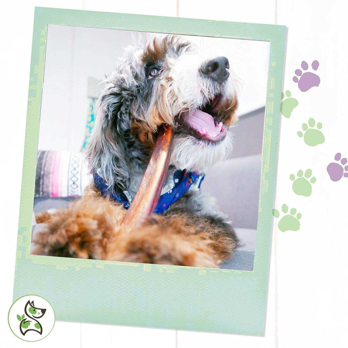 Natural Beef Bully Sticks for Dogs C3189