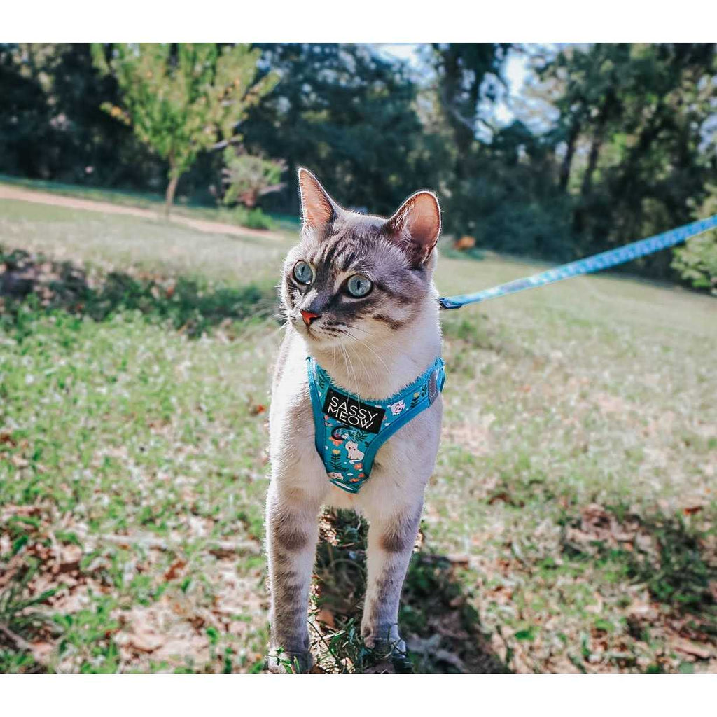 Cat Step-In Harness Y470