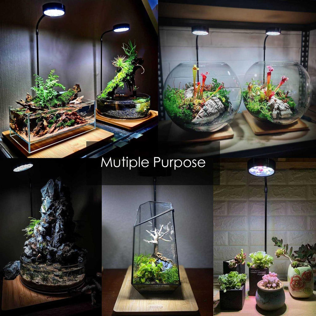 Full Spectrum LED Light with Bamboo Board C48423