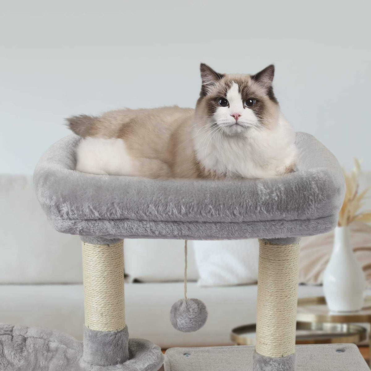 Cute Cat Tree Kitten Cat Tower with Sisal Scratching Posts C368894