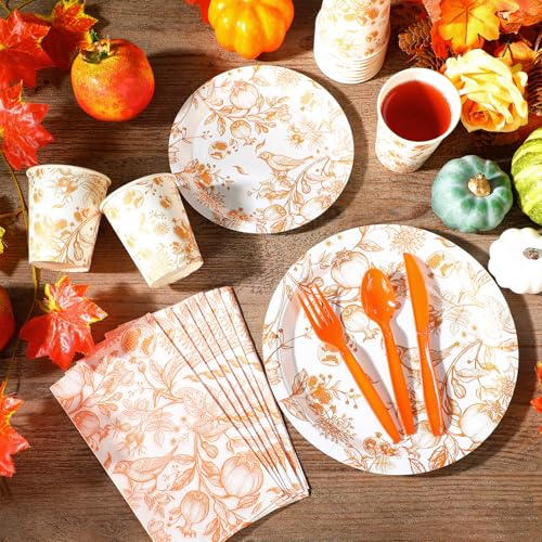 400 Pcs Fall Disposable Dinnerware Set for 50 Guest P8183