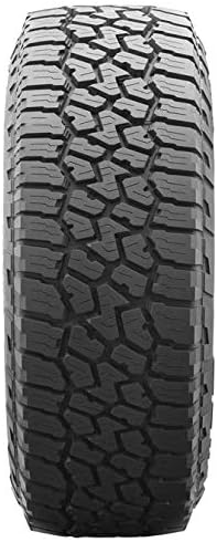 245/65R17 111T All Season Radial Tire Q44709