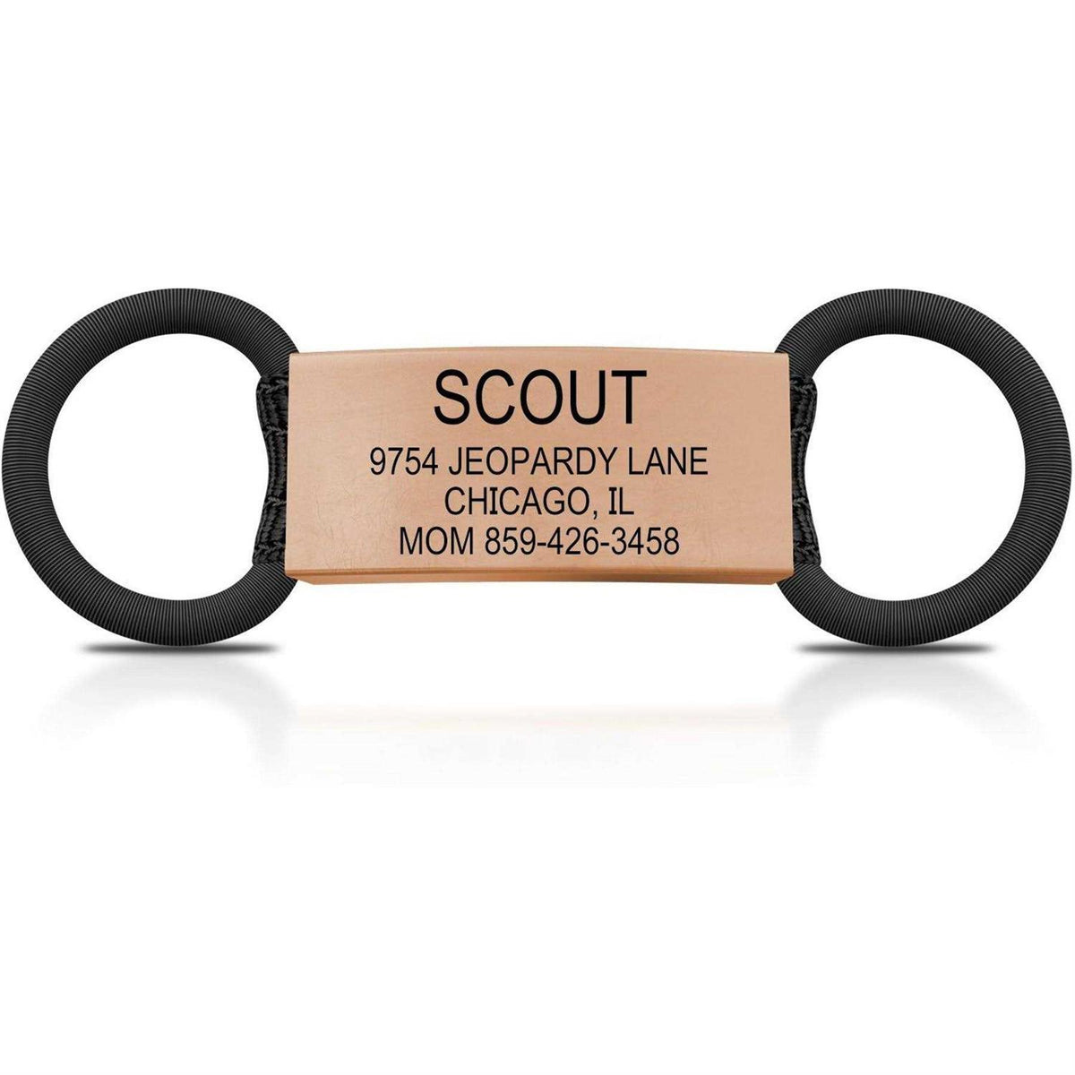 Personalized Dog ID Tag U428