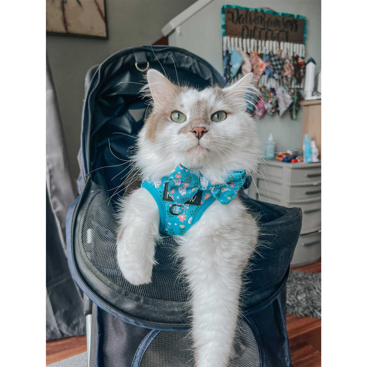 Cat Step-In Harness Y470