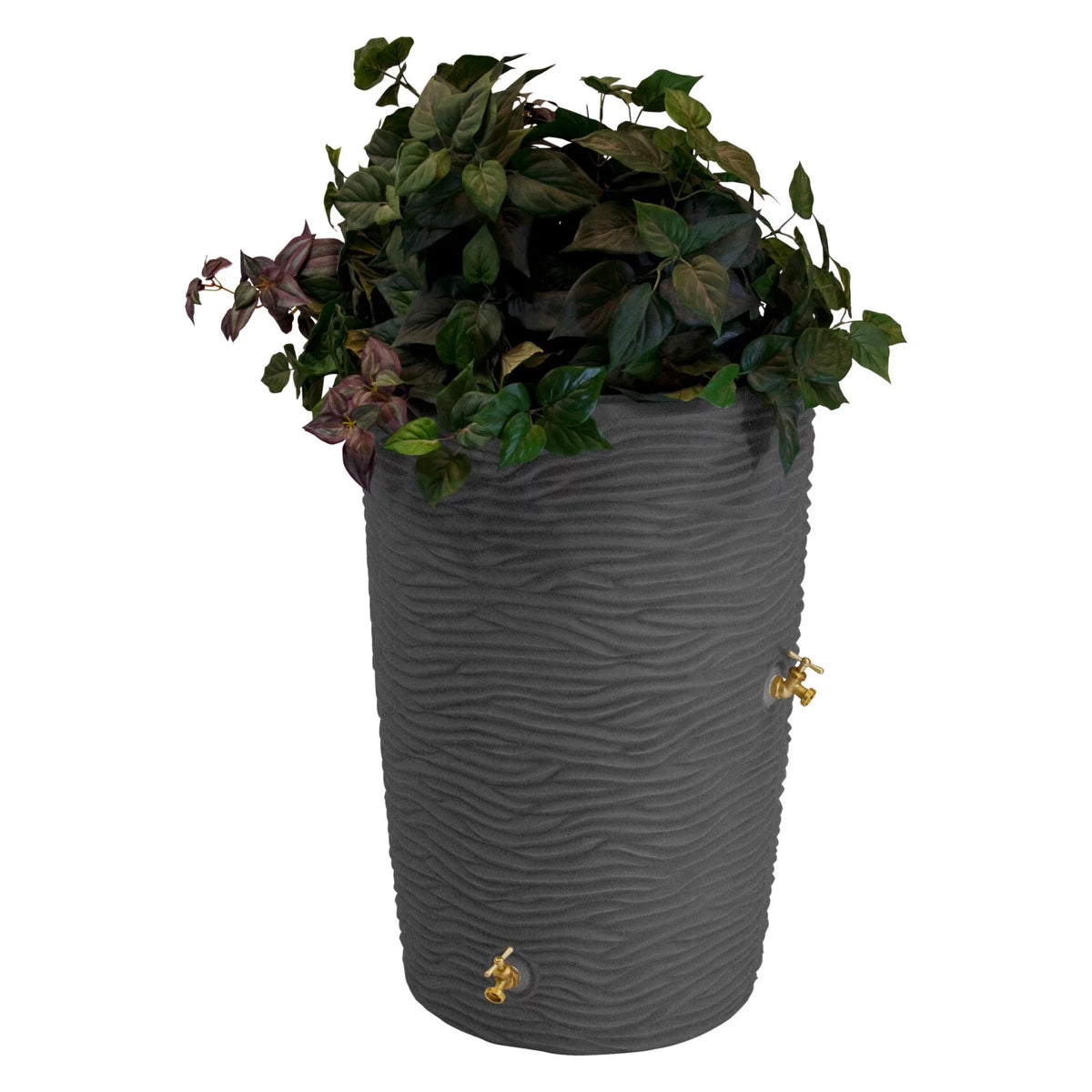 Palm Rain Saver C801124