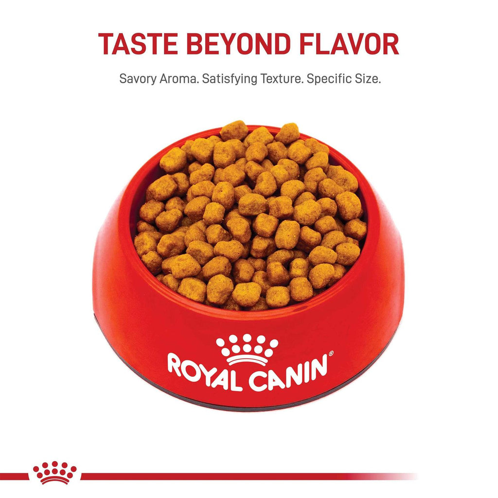 Adult Dry Dog Food W57371
