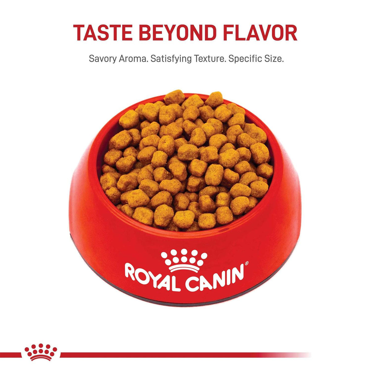 Adult Dry Dog Food W57371
