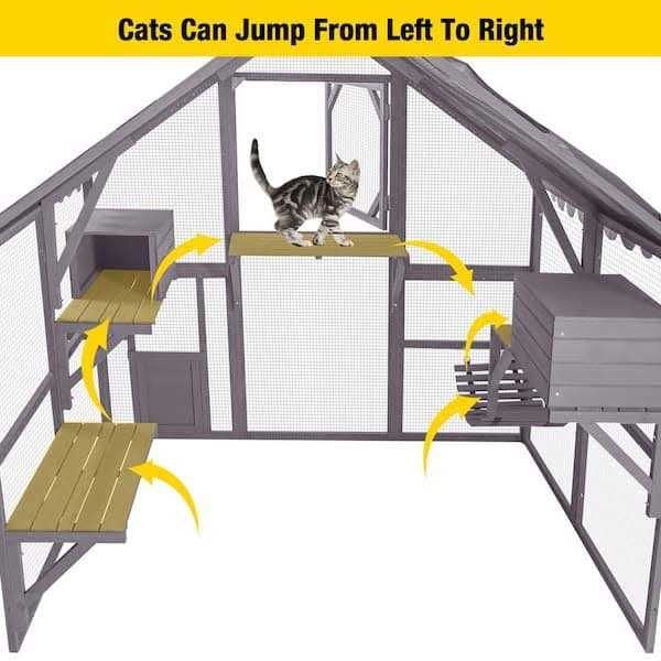 Outdoor Cat Run Q130577
