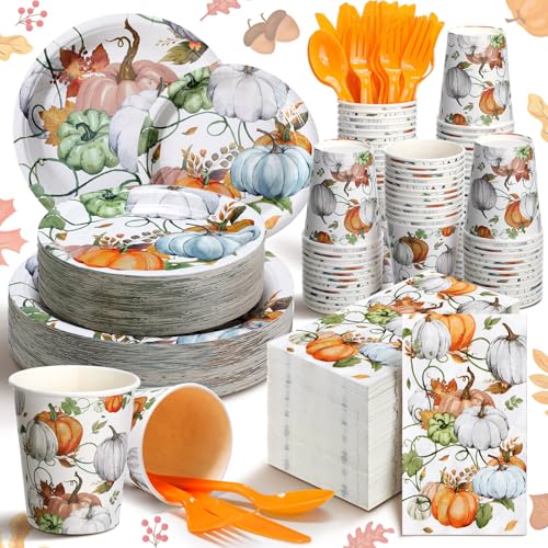 400 Pcs Fall Disposable Dinnerware Set for 50 Guest P8183