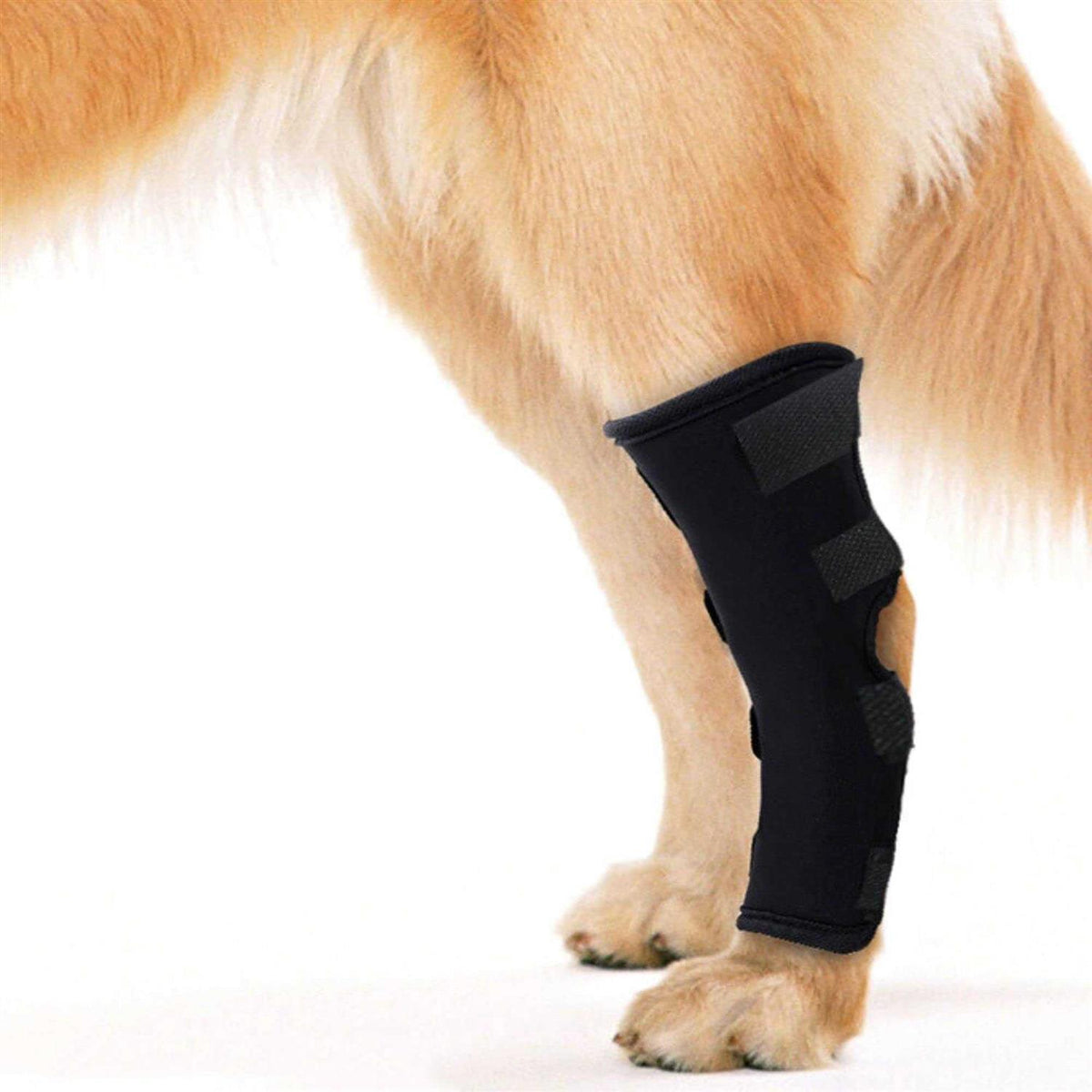Waterproof Dog Rear Leg Hock Joint Wrap G77024