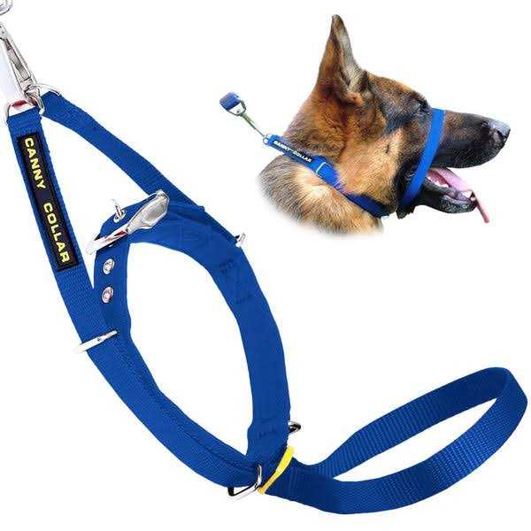 Collar F604893