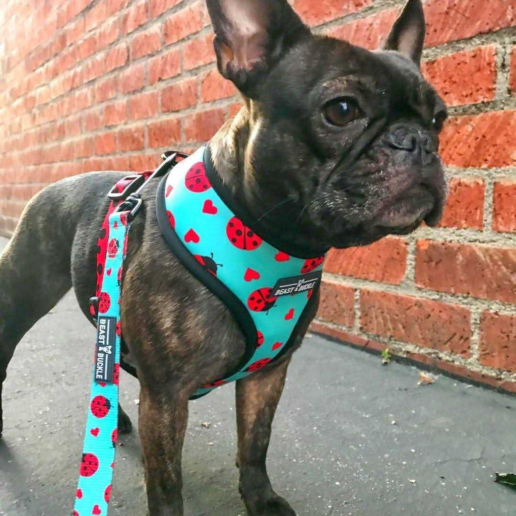 Reversible Dog Harness N907680