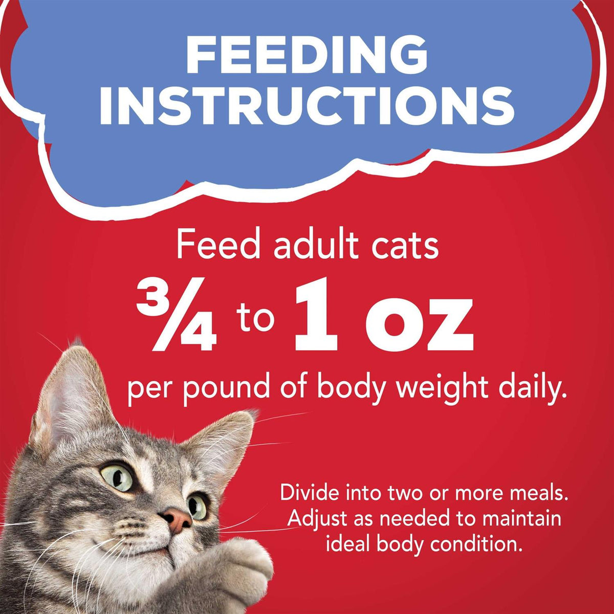 Wet Cat Food with Beef in Gravy C986