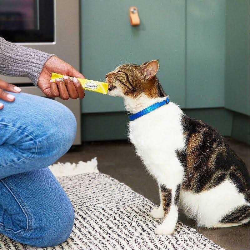 Lickable Cat Treats M473042