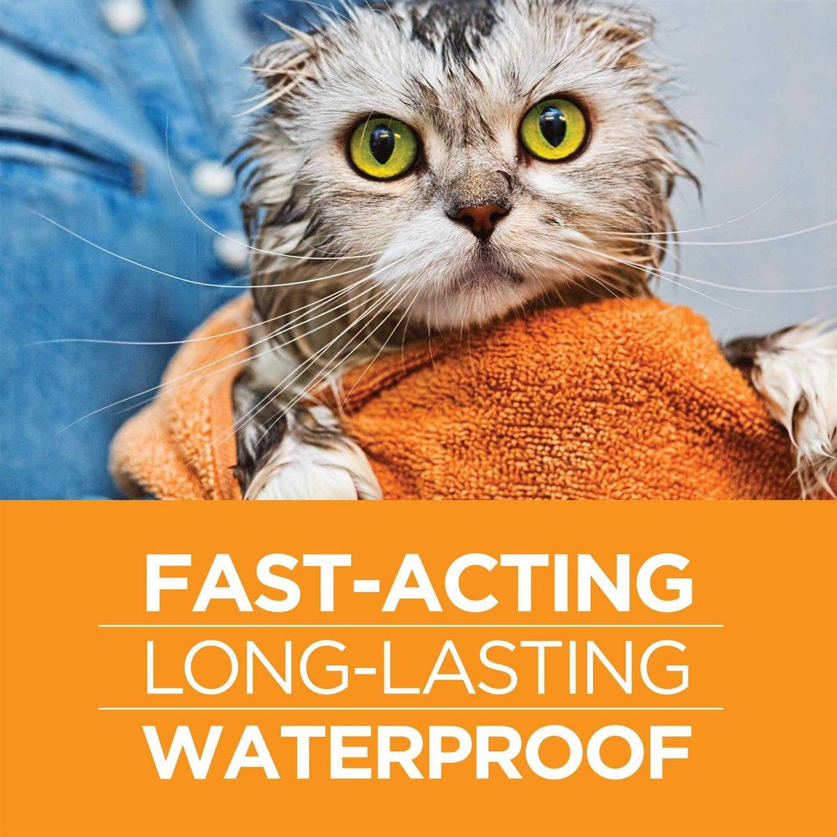 Flea and Tick Prevention for Cats C5206