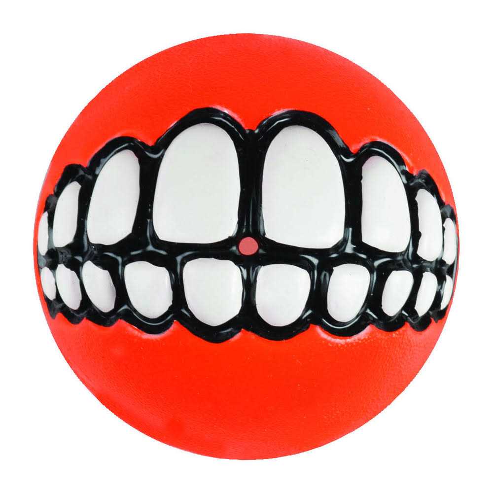 Dog Toy S2504