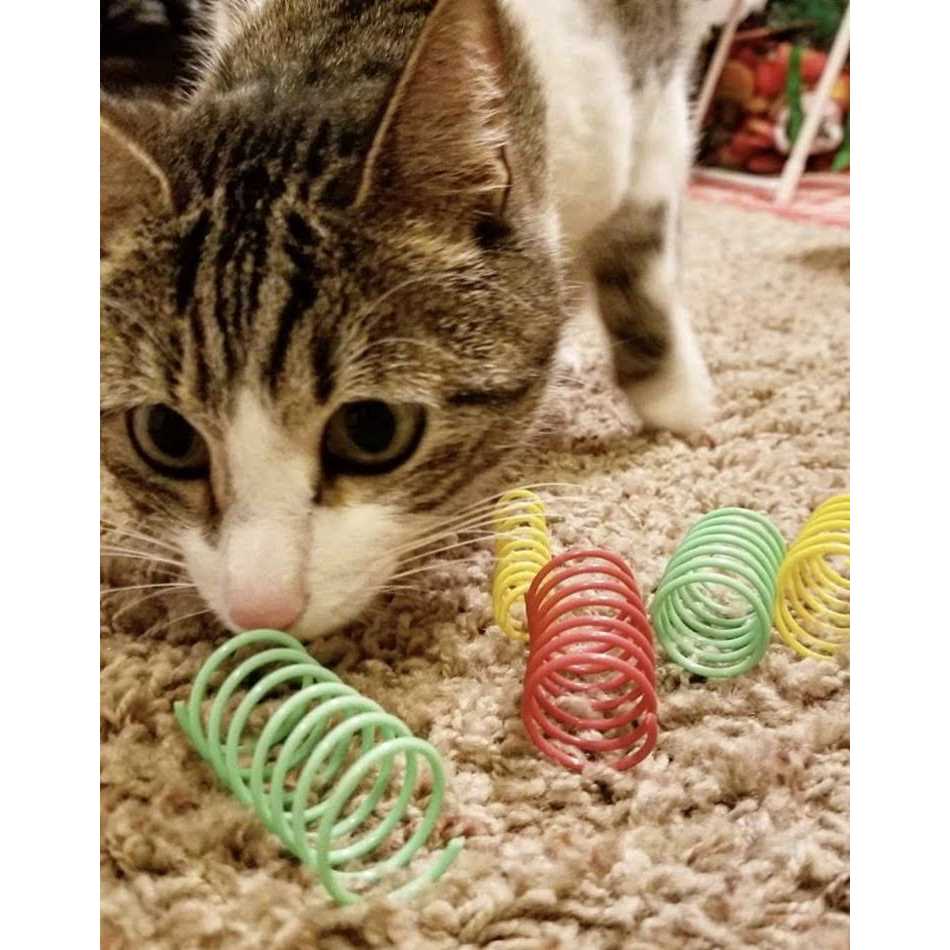 Colorful Springs Cat Toy E774