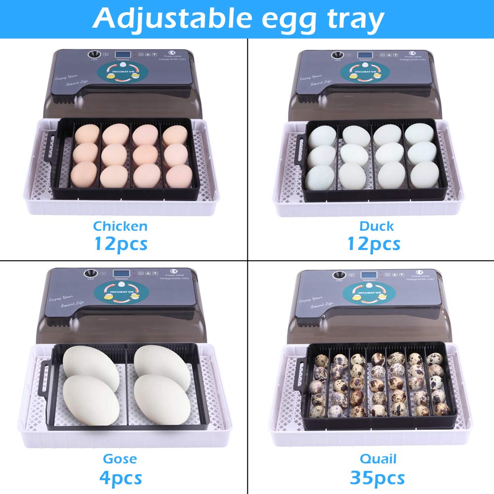 9-35 Egg Incubator Automatic Egg Turner LED Candler C1928