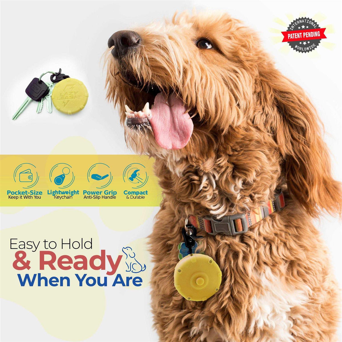 Wearable Pet Leash W469