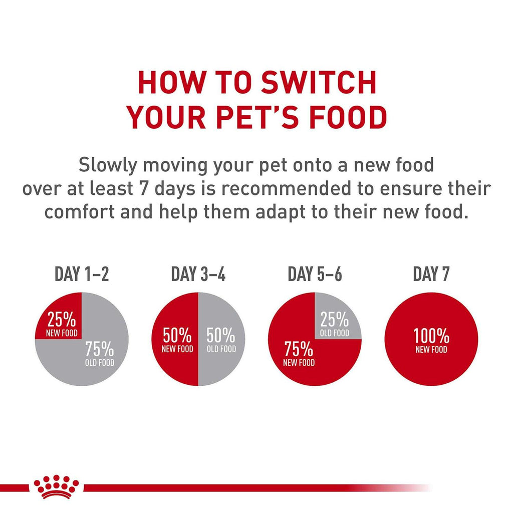 Adult Dry Dog Food W57371