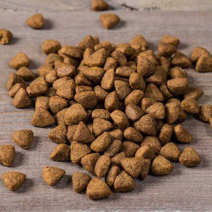 Game Bird Dry Dog Food X33266