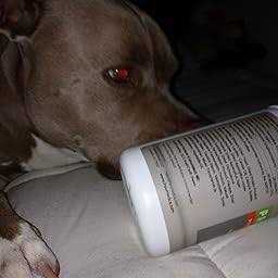 Dog Probiotics and Digestive Enzymes B94044