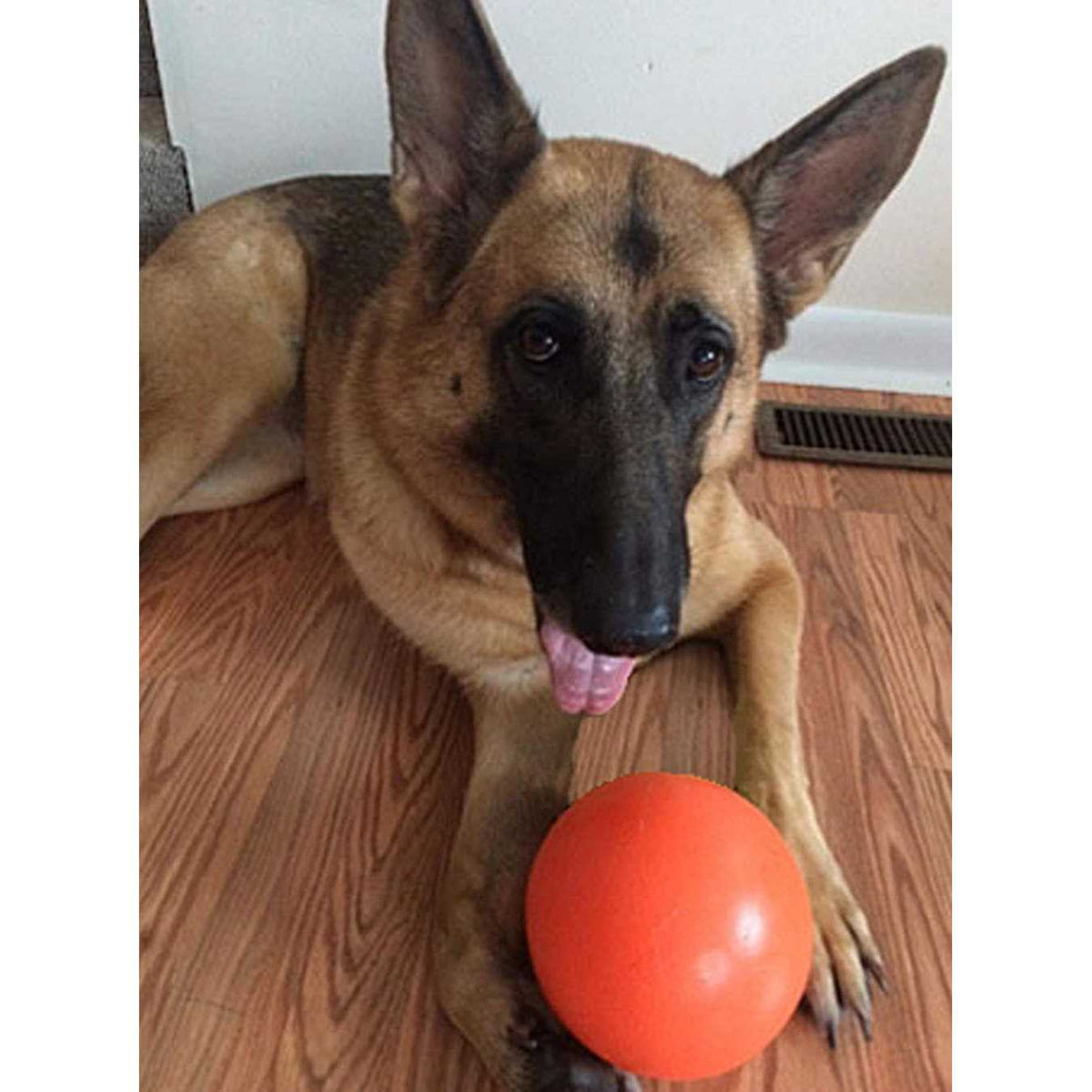 Indestructible Dog Toy 6-in R2098
