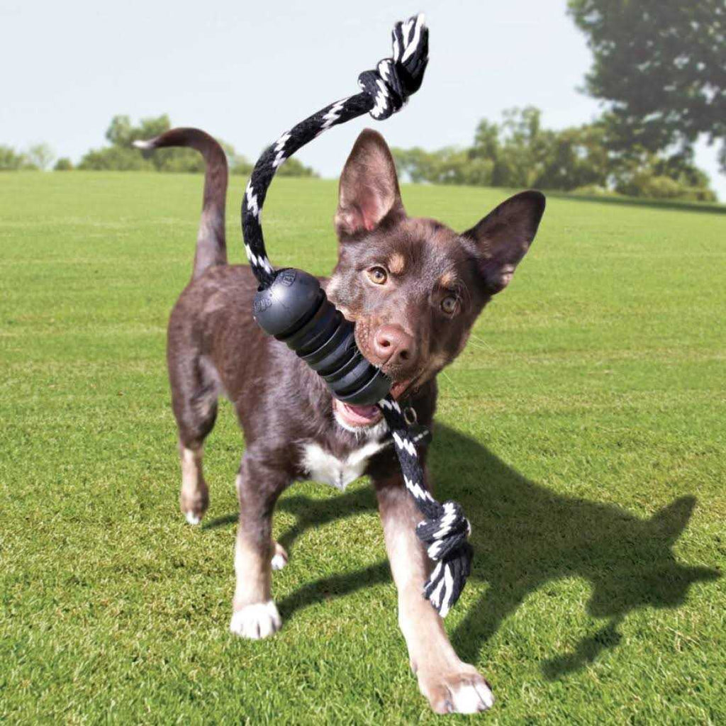 Dog Toy F8257