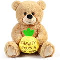 Plush Teddy Bear Stuffed Animal O200754