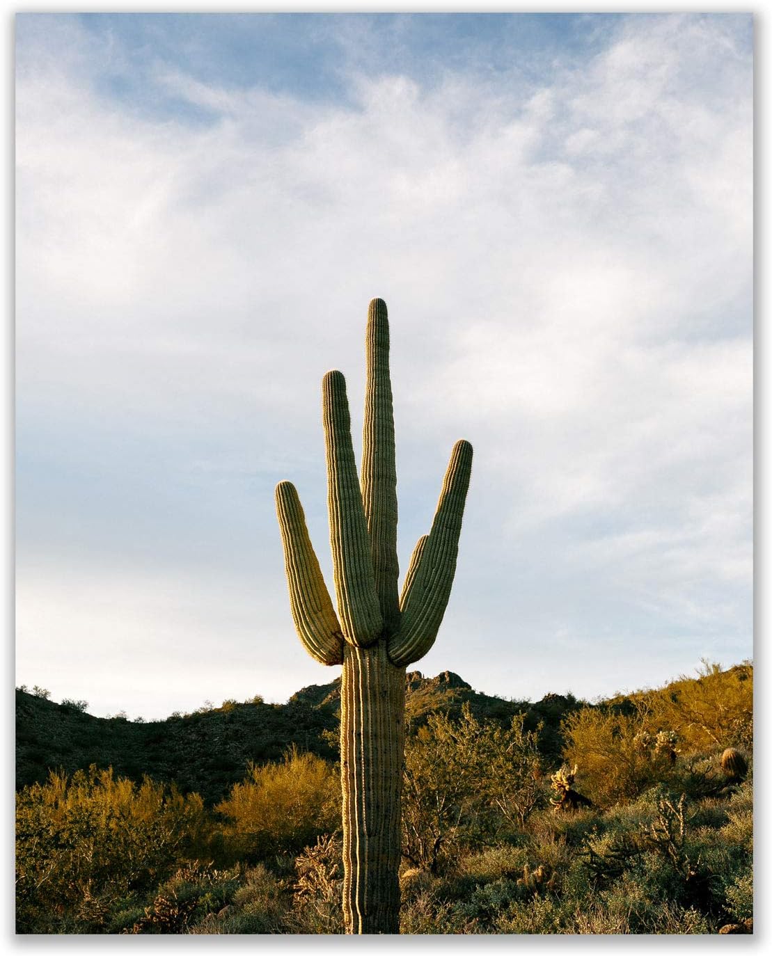 Southwestern Desert Prints Set of 4 8x10 Glossy Wall Art Decor V561236