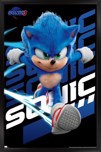 Sonic Wall Poster 22.37" x 34.00" Unframed A153826