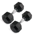 15 lbs Rubber Octagonal Dumbbell Set of 2 U2224