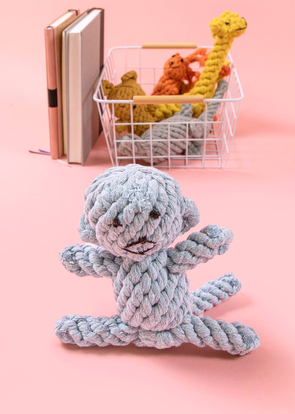 Small Dog Tug Toy Braided Rope Toy V140