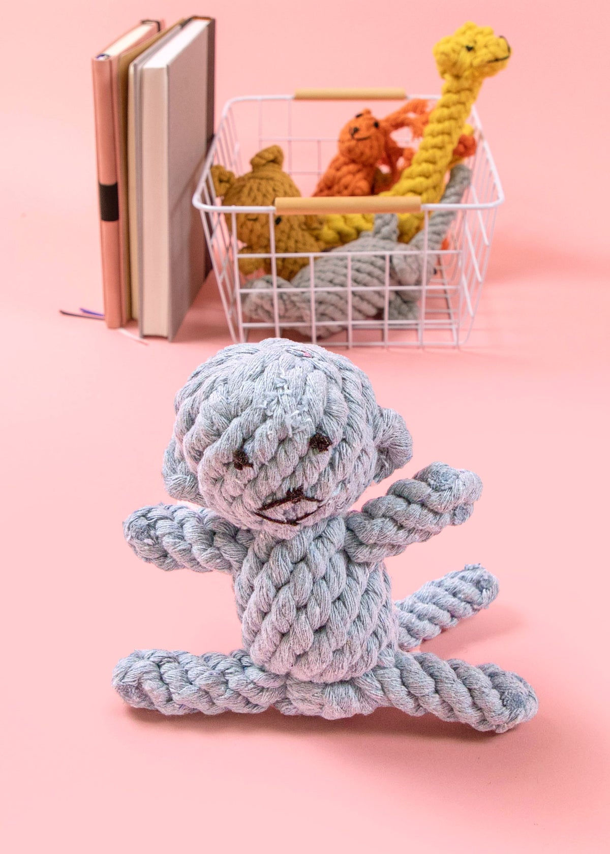 Small Dog Tug Toy Braided Rope Toy V140