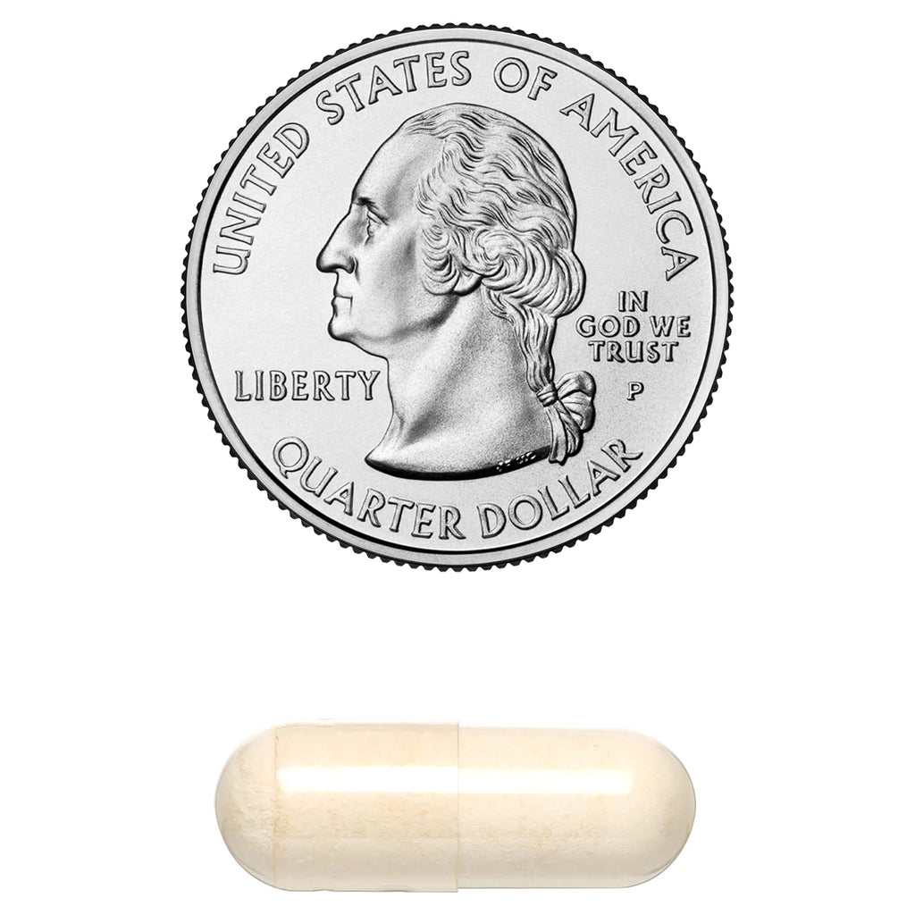 Phosphatidylserine 60 Capsules X470