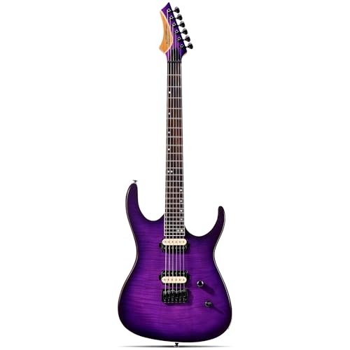 Blue Flame Electric Guitar V875