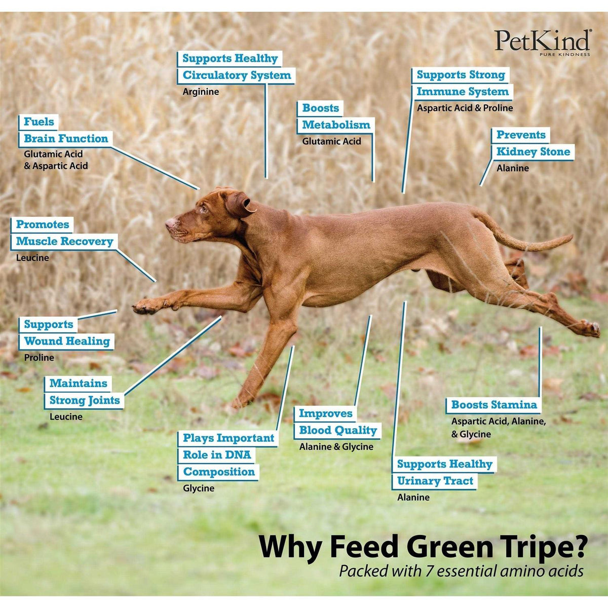 Beef Tripe Formula Dry Dog Food R75009