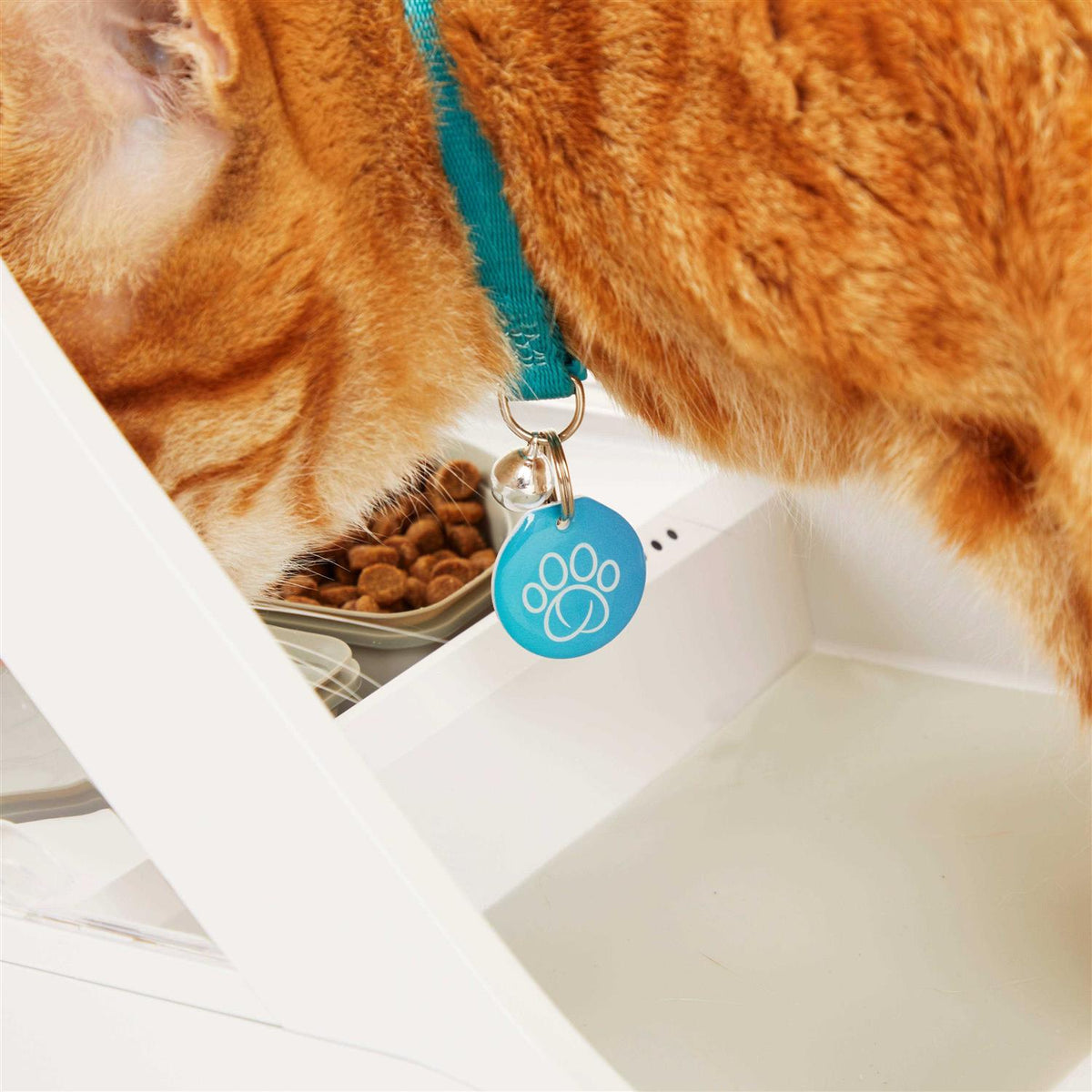 Microchip Pet Feeder X88645