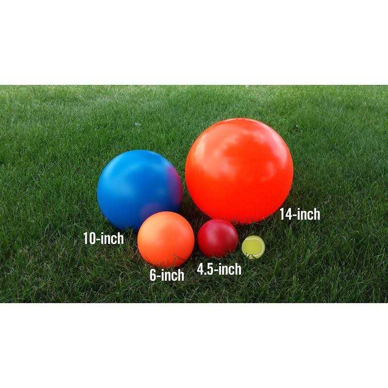 Indestructible Dog Toy 6-in R2098