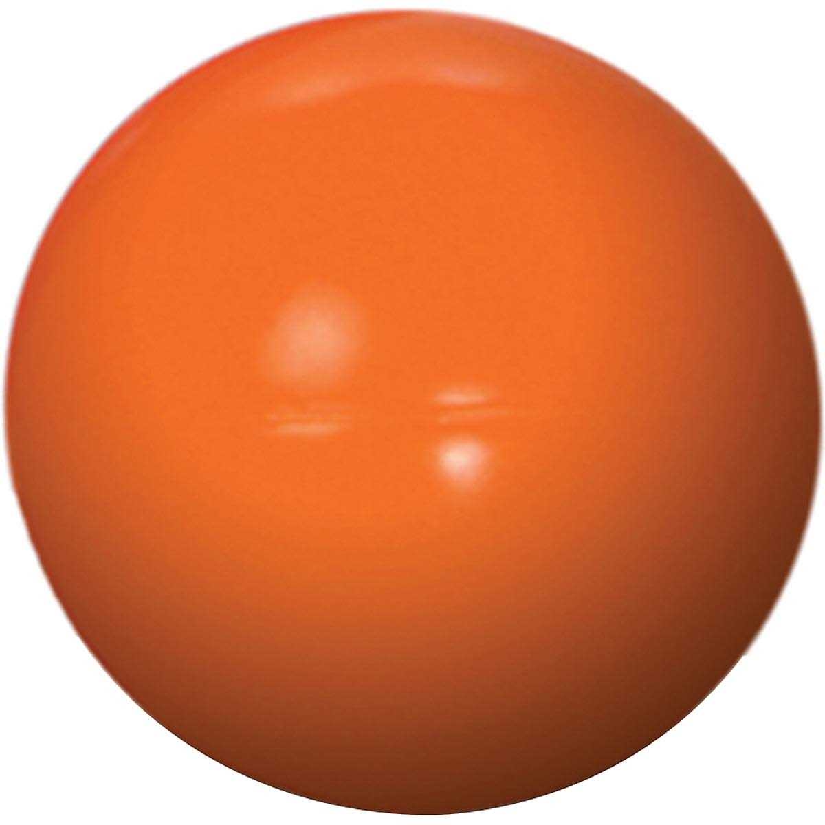 Indestructible Dog Toy 6-in R2098