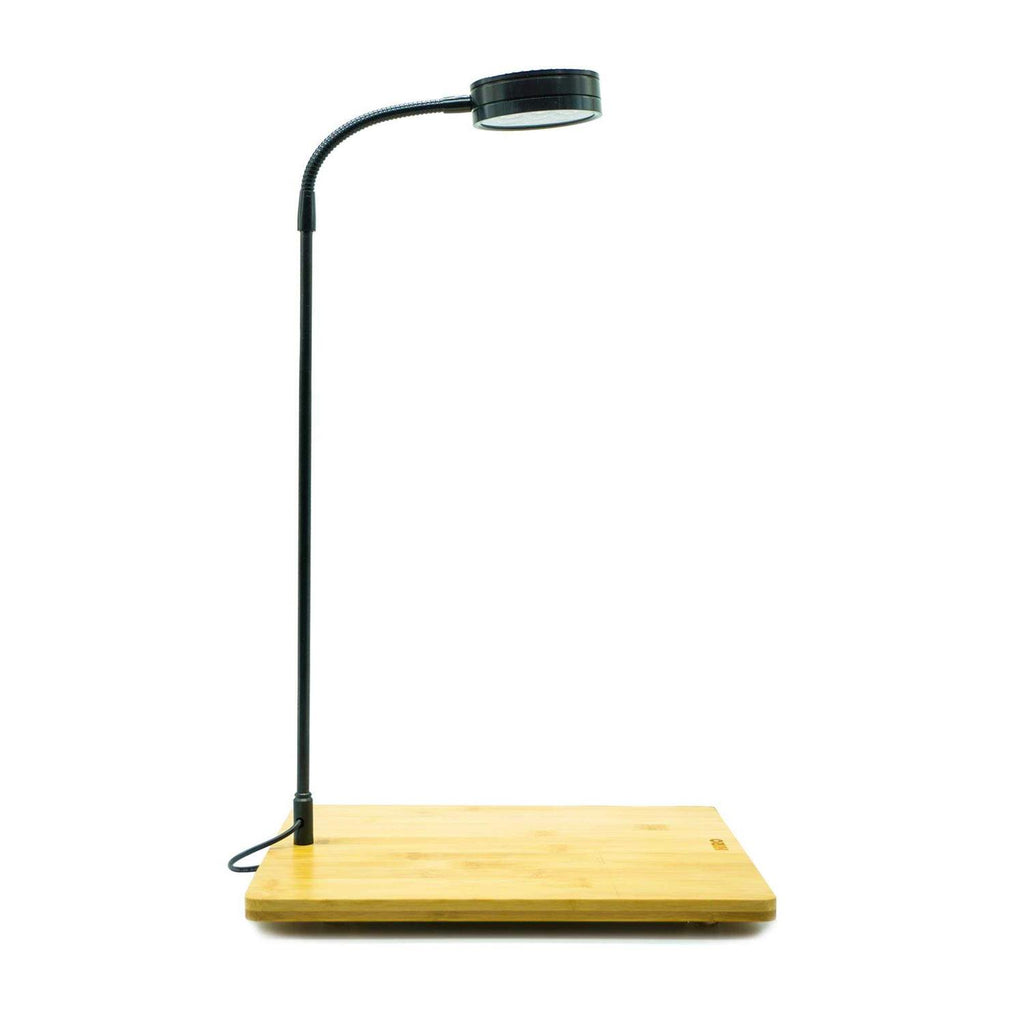 Full Spectrum LED Light with Bamboo Board C48423