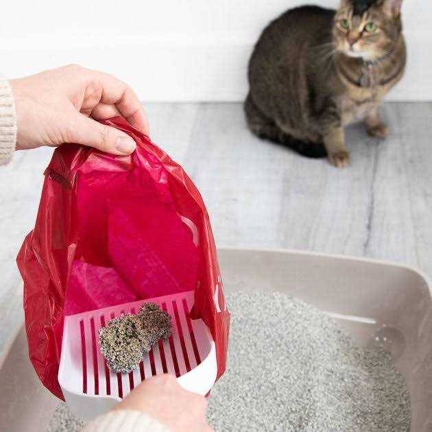 Lavender Scented Pet Waste Disposal Bags T2170
