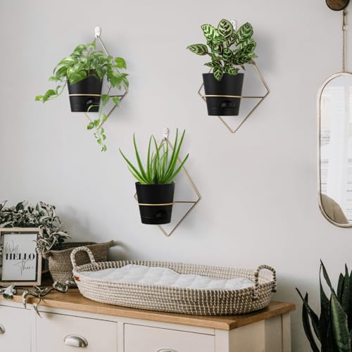 3 sets of 5" Black Metal Hanging Wall Planters N295
