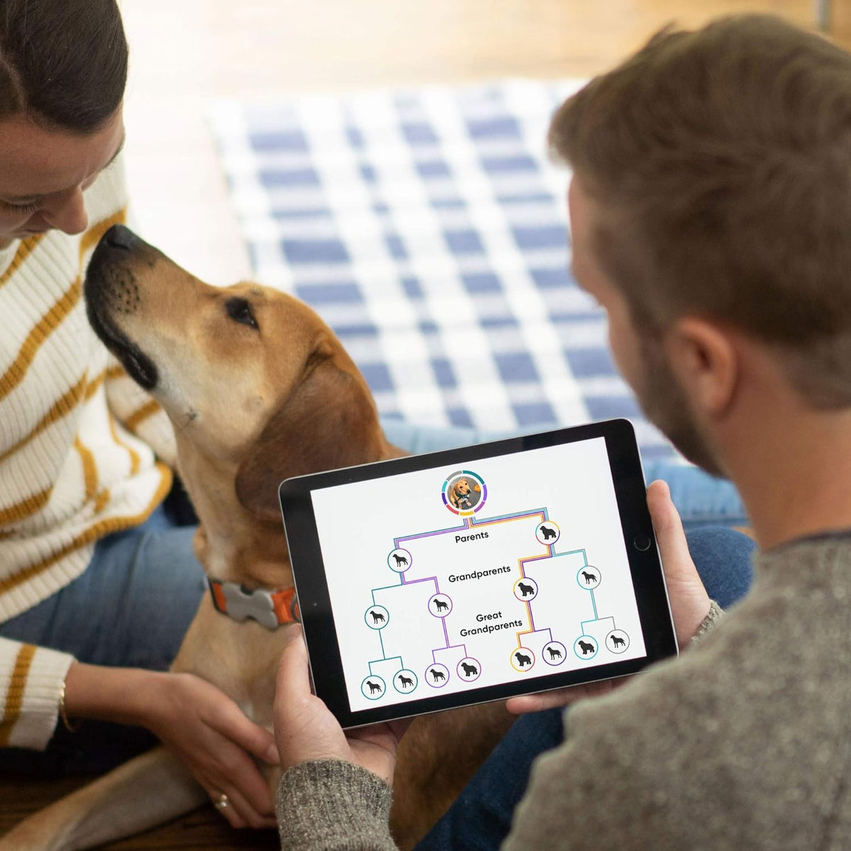 Dog DNA Test Breed Identification Kit J603