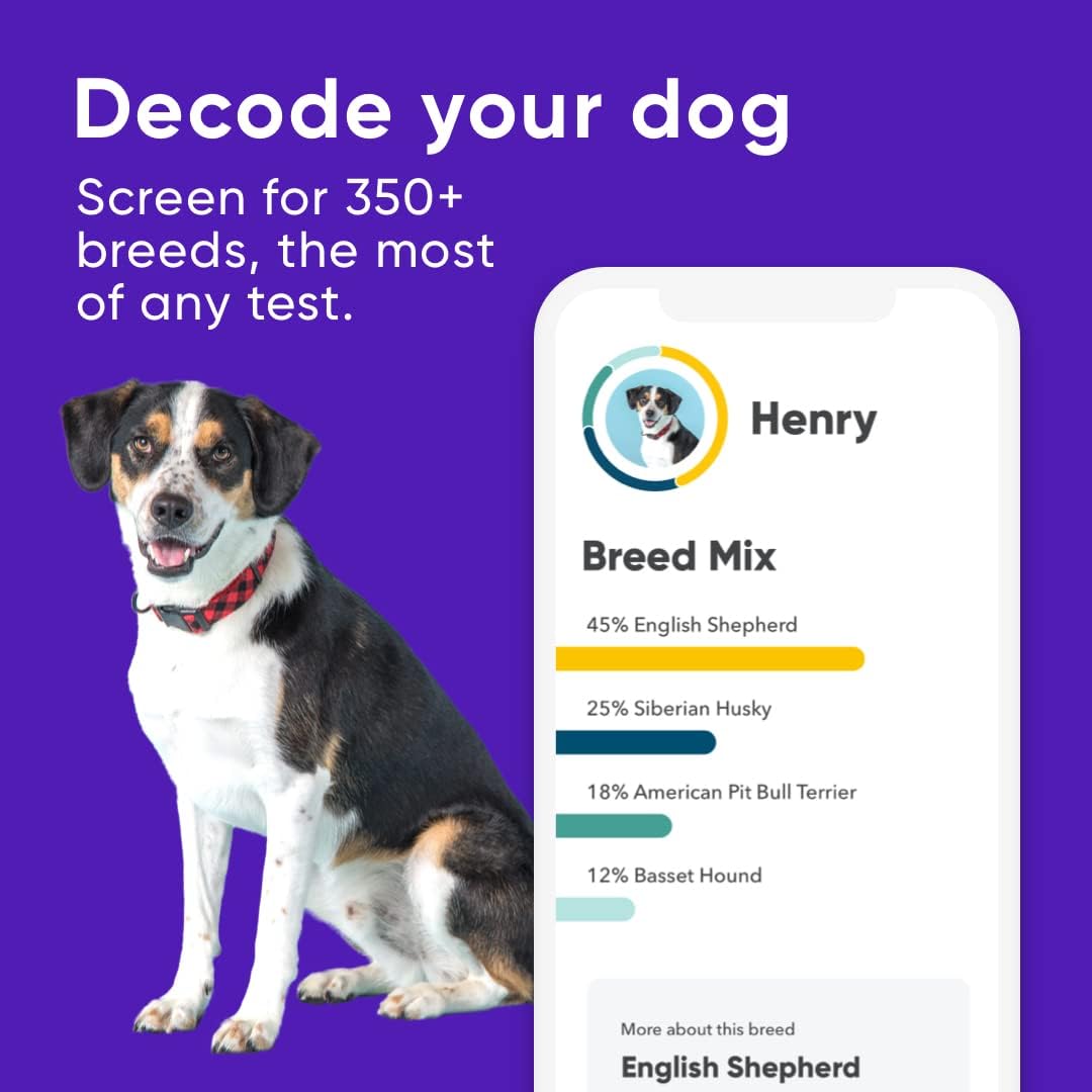 Dog DNA Test Breed Identification Kit J603