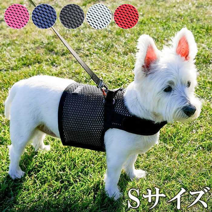 Martingale Walking Dog Harness K8506