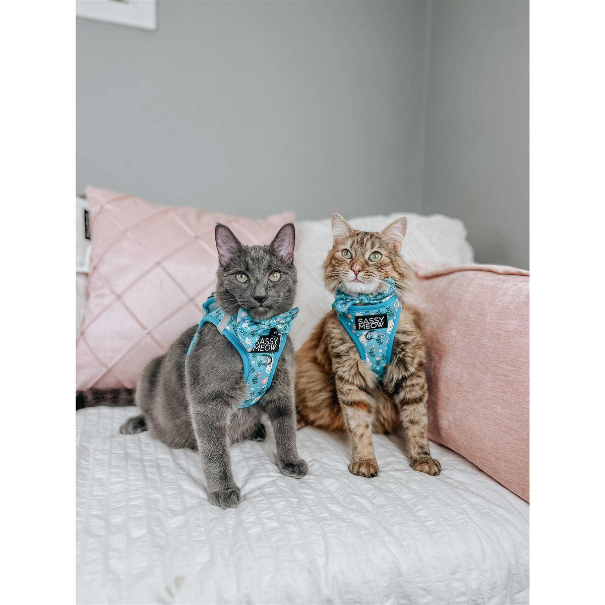 Cat Step-In Harness Y470
