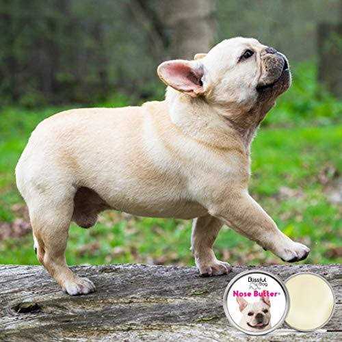 Bulldog Unscented Nose Butter N550627