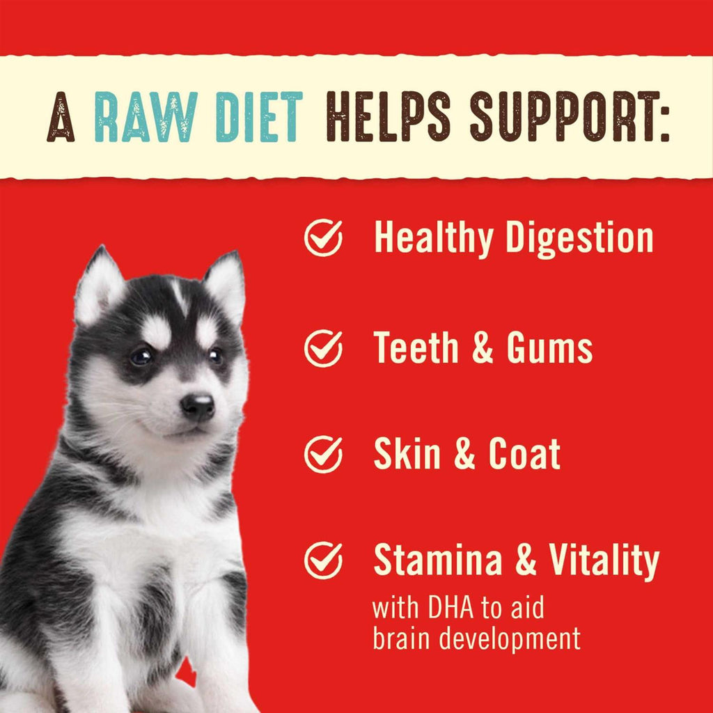 Freeze-Dried Raw Dog Food Salmon Patties L99344