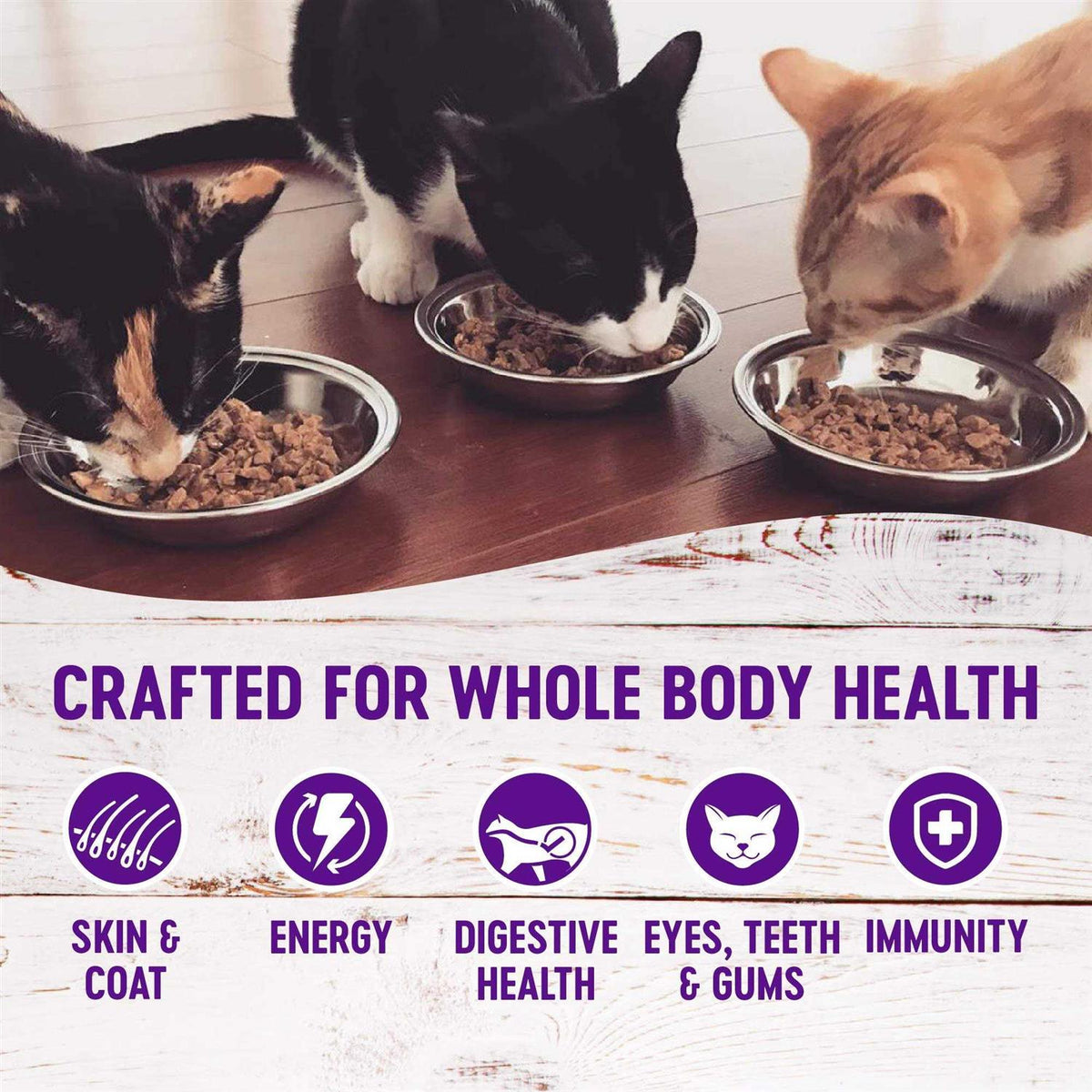 Cat Food M652
